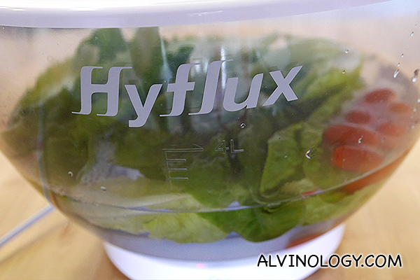 [Giveaway] Hyflux DEW Fruit & Vegetable Washer D818 is the new jacuzzi for fruit & vegetable - Alvinology
