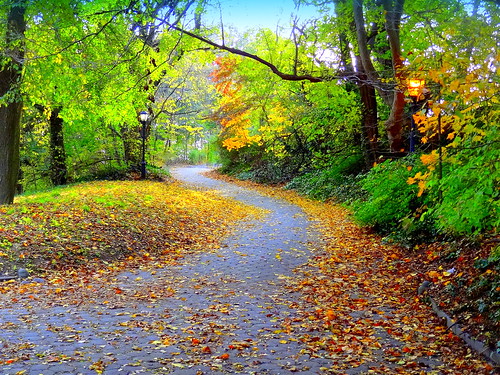 autumn newyork brooklyn image prospectpark dmitriyfomenko fall42014