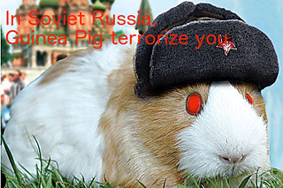 soviet russian pig