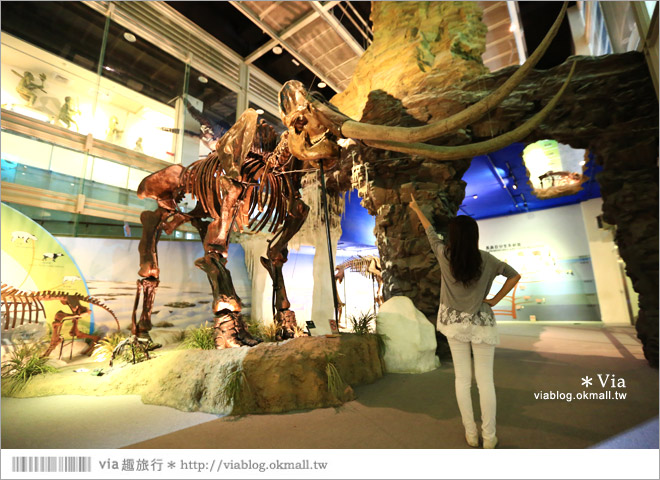 【台南南科景點】樹谷生活科學館～超大的劍齒象化石！有趣又能長知識的博物館！19