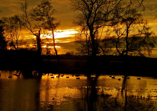 uk trees sunset england lake clouds canon reflections evening geese spring yorkshire ducks northyorkshire pickering keld plp petee unitedkingdomuk peteellison keldhead sx200is