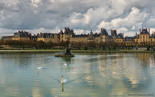 france gardens frança swans francia jardines jardins fontainebleau cisnes cignes grandparterre