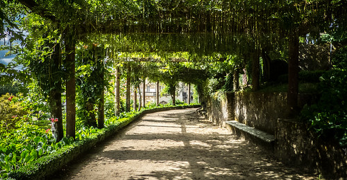 portugal garden do milo jardin filter serra hoya buçaco