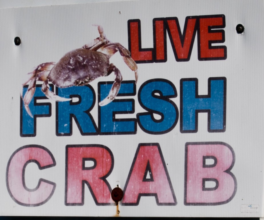 Live Fresh Crab
