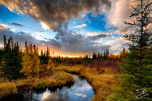 autumn trees sunset sky canada weather clouds landscape 124 alberta morseriver swanhills drewmayphotography
