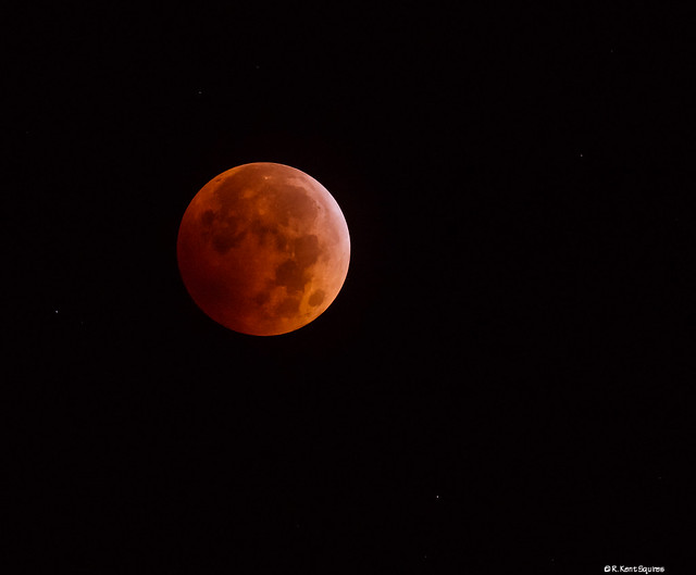 Blood Moon - Lunar Eclipse10082014-0328