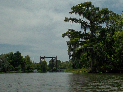 bridge trees louisiana bayou swamp wetlands cypress waterscape liftbridge lafourcheparish ilobsterit