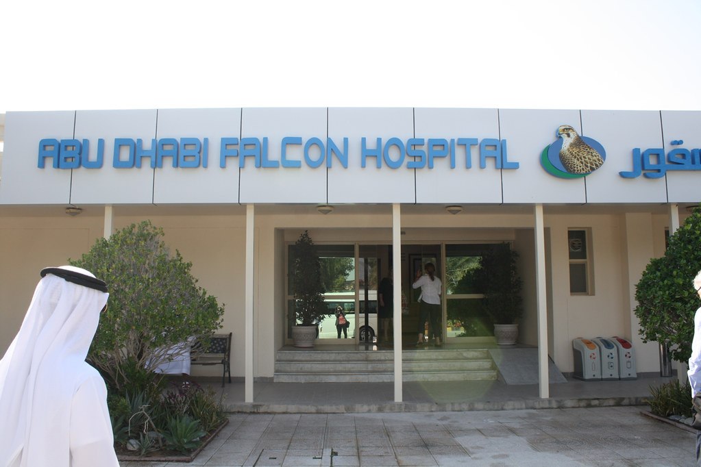 Falcon Hospital
