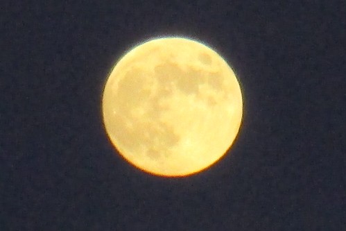 fullmoon lunar preeclipse