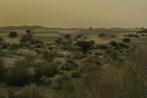 india sand desert dunes roads pushkar camels jaisalmer rajasthan barmer