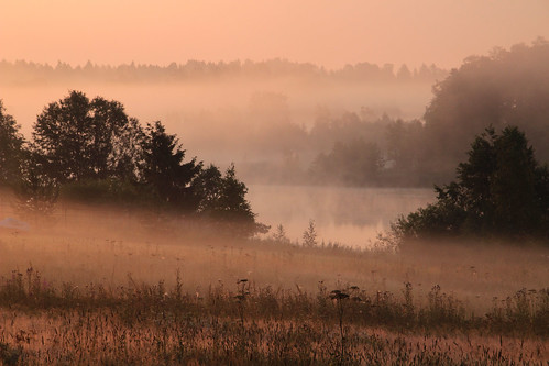 morning summer mist lake nature beautiful field misty fog sunrise suomi finland dawn countryside finnland country foggy finlandia フィンランド finlande finlândia finnország finlanda finlàndia финляндия finnishsummer finnlando فنلندا