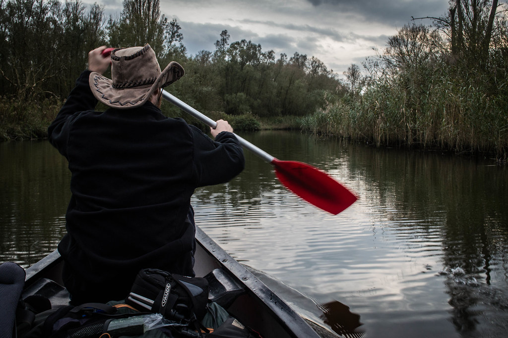 Canoeing the Biesbosch