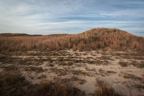 autumn grass sand ks hills kansas prairie plains pratt sandhills