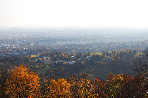 vienna wien city autumn trees houses fall leaves austria colours view hills foliage hazy kahlenberg österreich