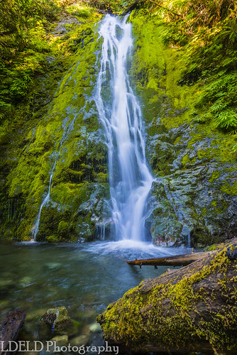 waterfall olympicnationalpark washington elwharivervalley madisonfalls stream creek moss green