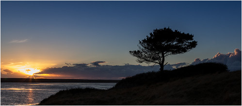sunset reflection tree beach water silhouette lagoon dorset sunburst weymouth lonetree chesil johnturp