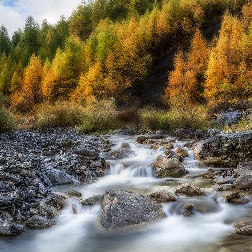 longexposure autumn trees france water lines river landscape stream stones riverbed larch hdr highdynamicrange queyras silkywaters caughtinpixels jacobsurland