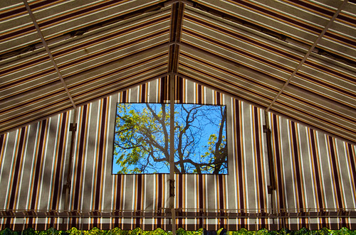 ontario canada tree window view photowalk millstreet elora millstreetbistro eloraferguson20141011