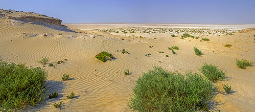 qatar desert russellscottimages