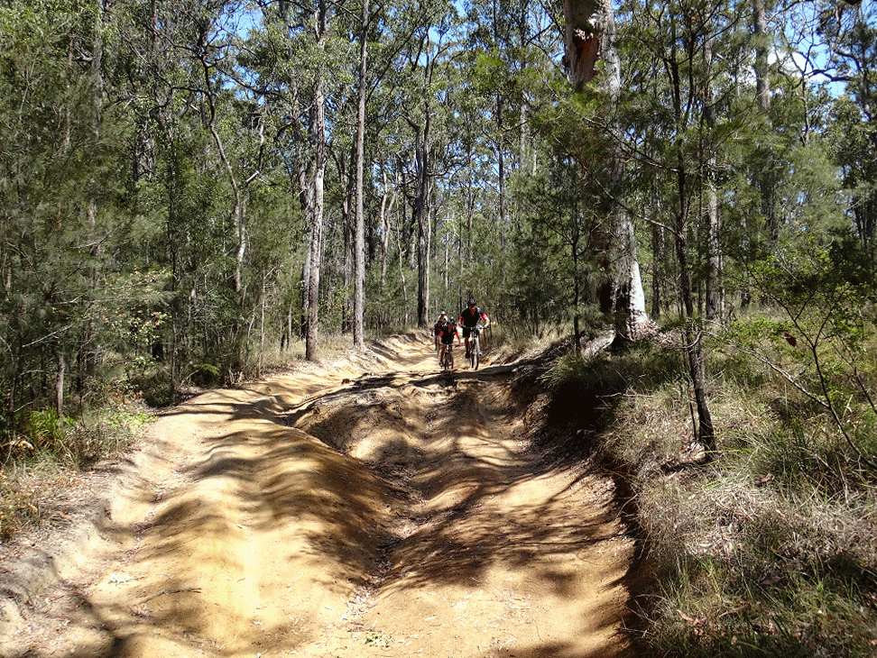 Mount Beerwah Track