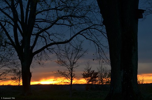 november trees sunset nikon sonnenuntergang hans silhouettes birdhouse bäume vogelhäuschen kruezberg schmidmühlen eisenreich slhoutten