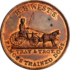 1853 H.B. West’s Trained Dogs Advertising Card obverse
