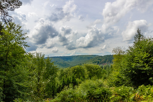 wood trees clouds forest deutschland cloudy wald bäume rheinlandpfalz wolkig meulenwald schweich wollken