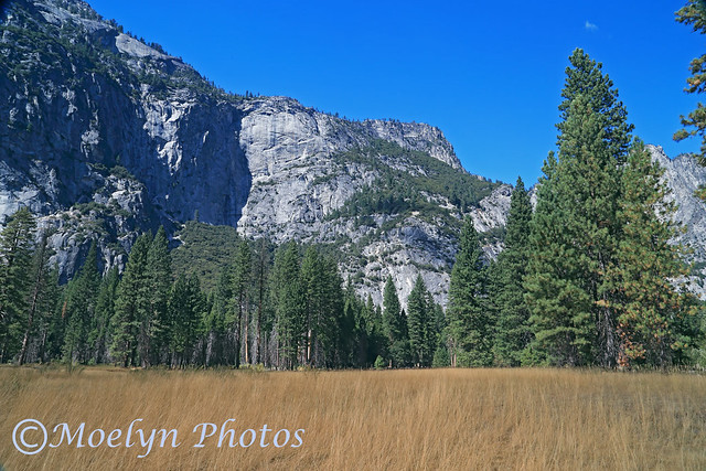 Yosemite Natl Pk