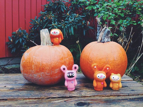 the little woolly pumpkin pickers