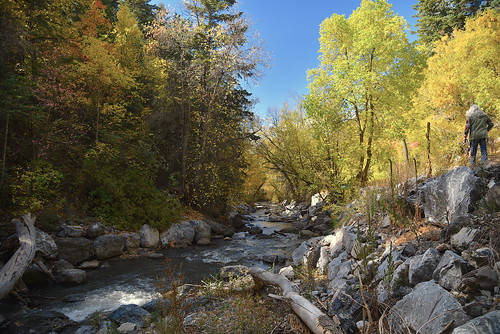 alpine loop river creek timpanogos highway sundance mountain road utah water fall evergreens landscape nature october autumn hike
