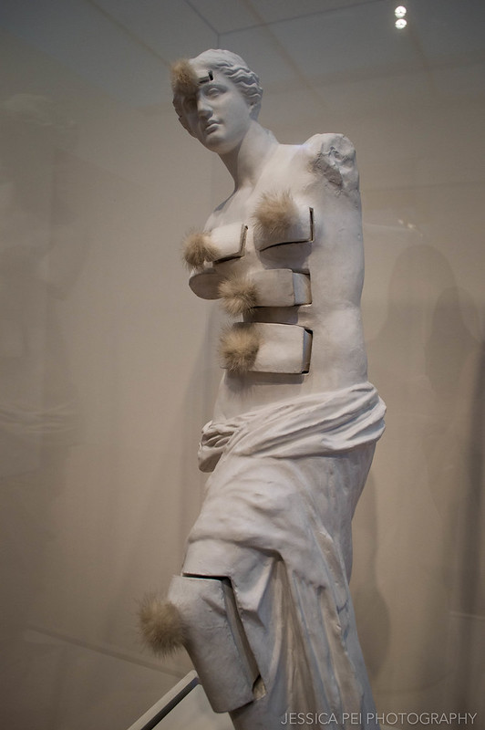 Venus de Milo with Drawers - Salvador Dali in Art Institute of Chicago