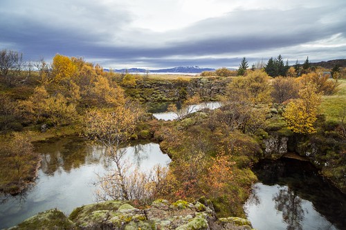 autumn fall iceland nationalpark haust thingvellir þingvellir haustlitir þjóðgarður distagont2821