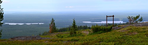 summer panorama lake forest finland landscape geotagged ks july kuusamo fin stitched 2014 iivaara koillismaa 201407 20140715 geo:lat=6580140320 geo:lon=2967584828