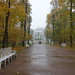 532 - Tsarskoye Selo (Palacio de Catalina - Pushkin)