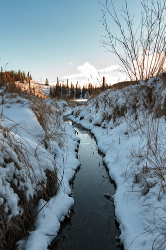 winter lake snow canada ice nature water landscape outside stream ditch north sunny yukon grasses northern whitehorse genre northof60 1740mmf40l southernyukon canon7d