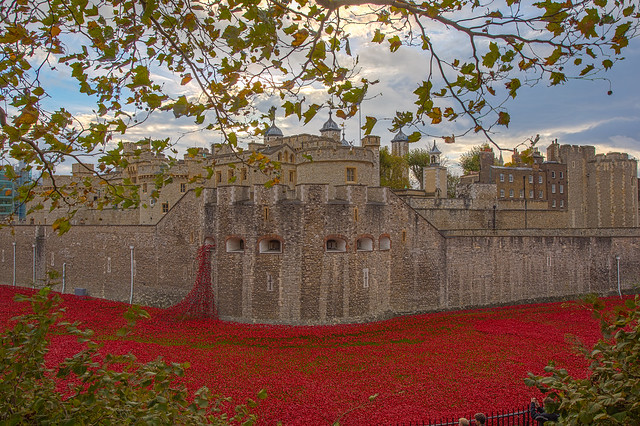 Moat of Poppies - The Tower of London