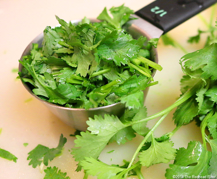 5 chopped cilantro Salsa Ranchera VSL#3 IBS Friendly  Recipe