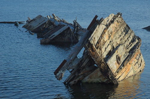 sunset japan ship shimane scrap thrush bluerockthrush 廃墟 島根県 イソヒヨドリ