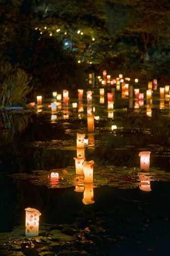 japan night garden outside outdoors lights pond monet 日本 庭 hdr kochi 光 夜 蝋燭 キャンドル 外 高知県 モネ モネの庭 北川村