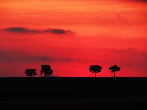 trees sunset red sky black nature clouds germany landscape deutschland spring colours silhouettes