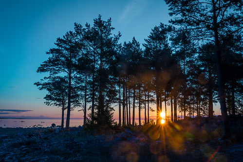 summer sunrise sweden schweden sverige sommar soluppgång hälsingland gävleborgslän