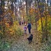 Enjoying the fall colours on our family walk this morning.