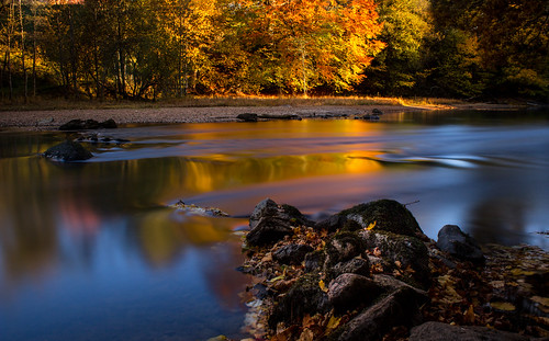 autumn trees river rocks sverige jonsered säveån