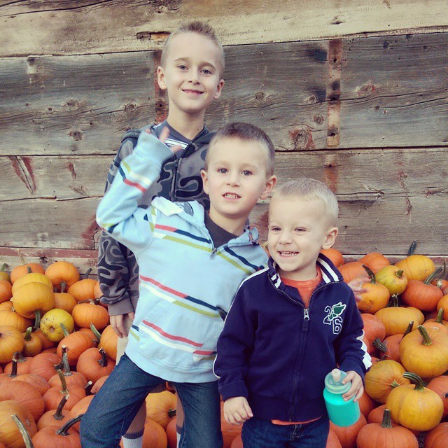 Finding our farm camp pumpkins