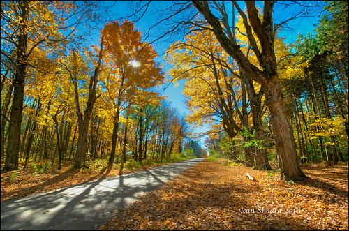 autumn ontario fall hdr harwood northumberlandforest carstairsforesttrail