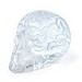 Clear Skull Brain by Emilio Garcia