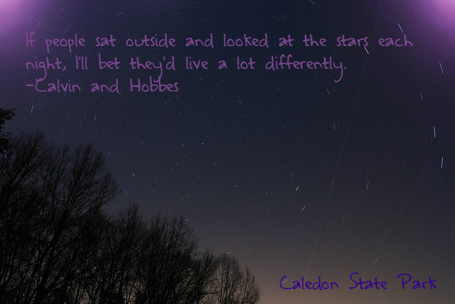 The stars at Caledon State Park