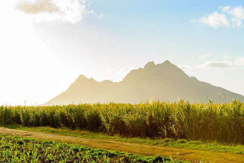 farm fazenda island lavenir landscape lansdscape mauritius mokarange mountains soil sugarcane mokadistrict mu
