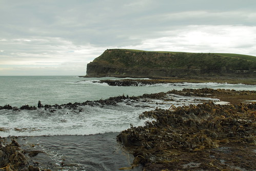 newzealand southisland 2016 catlins coast