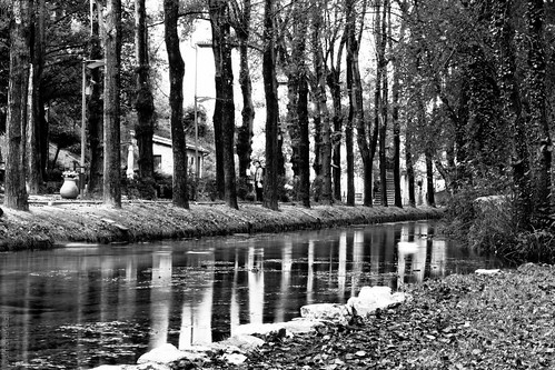 trees bw white black nature water river landscape nera scheggino valnerina